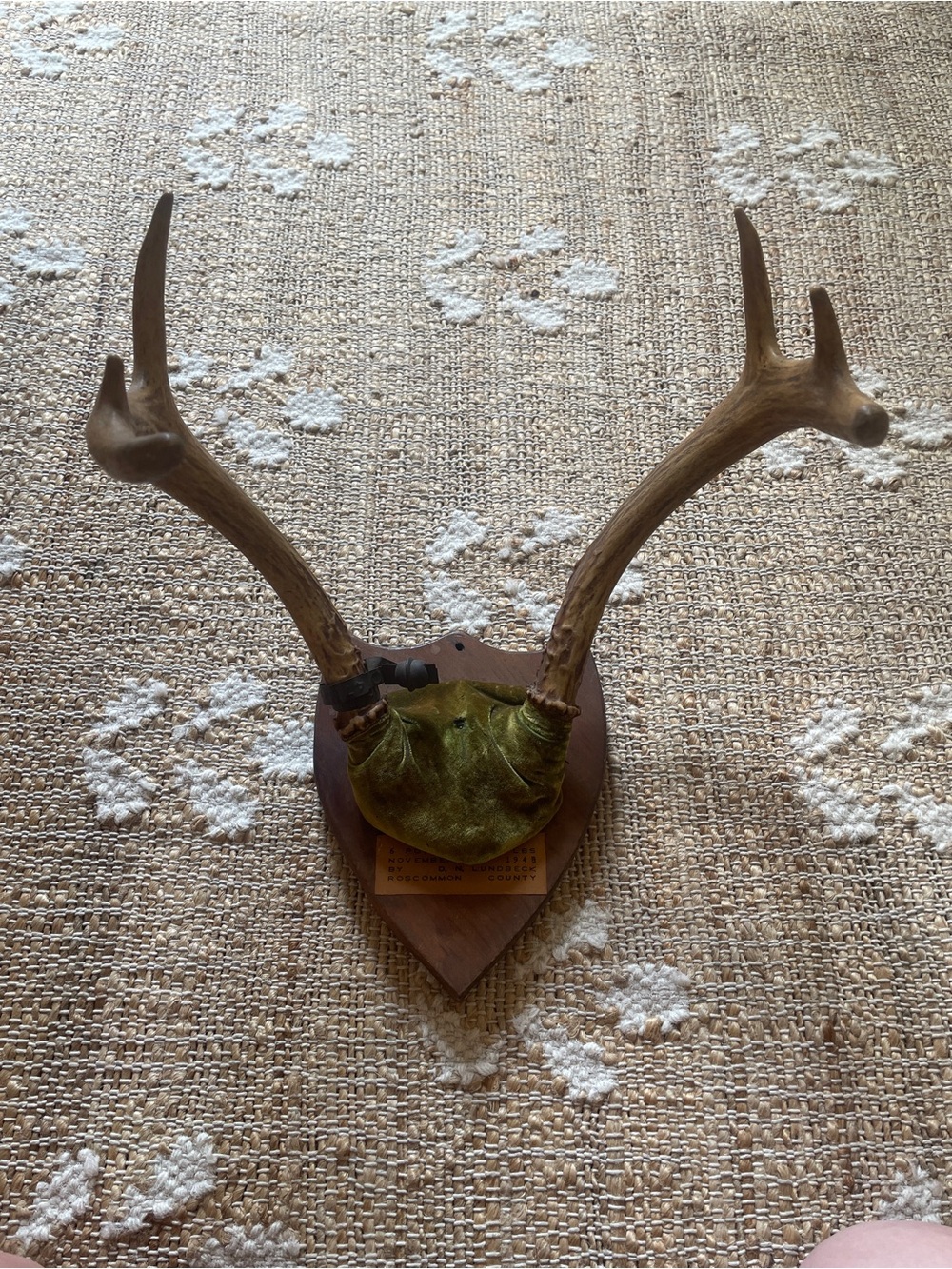 1948 Wall Hanging Vintage Antler Wall Hanging Plaque Mount with Velvet